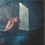 Lee Ranaldo - In Virus Times