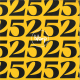 Various - Bloop 25 LP 2x12"