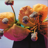 Various - Compilation CJA 04