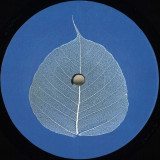 Various - The Bodhi EP