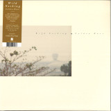 WILD NOTHING - GOLDEN HAZE