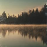 Purl - Deep Ground (3x12")