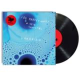 Geir Sundstol & Joe Harvey-Whyte - Langeleik LP