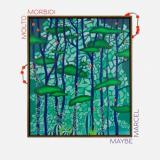 molto morbidi - Maybe Marcel (LP)
