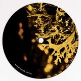 Van Bonn, Luigi Tozzi - Detached Trails