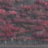 Sleep Token - Even In Arcadia (Instrumental) LP 2x12"
