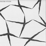 Figure Study - Figure Study