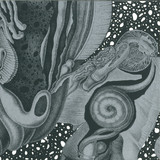 Cv313 - Dimensional Space 3x12"