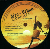 Afro Urban Concept & Dj Celyan - Electro Capoiera