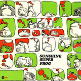 WYNDER K. FROG - SUNSHINE SUPER FROG