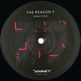 The Reason Y - Amalthea