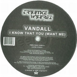 Vandall & Sully - I Know That