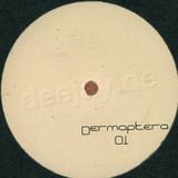 Dermaptera - 1