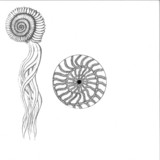 BORDER ONE - ABYSSAL EP