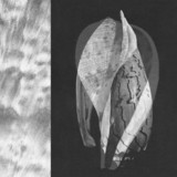 yolabm - Life In A Shell