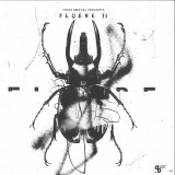 Jin CHOI / STEN / MARK BROOM / EDWARD - Yossi Amoyal presents Fluere II