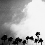 RICHARD ROSE - RADIATION BREEZE