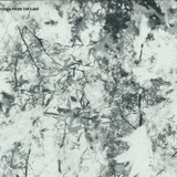 Voices From The Lake - Voices From The Lake  3x12"