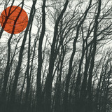 Heisenberg (vladislav Delay And Max Loderbauer) - Ripatti06