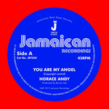Horace Andy - You Are My Angel/version
