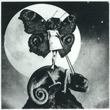 The Exaltics - The Girl And The Chameleon