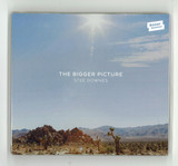 Stee Downes - The Bigger Picture
