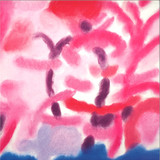 Lawrence - Black Cats