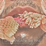 Toro Y Moi - Underneath The Pine