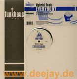 Hybrid Funk - Everybody