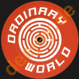 Aurora - Ordinary World 2004