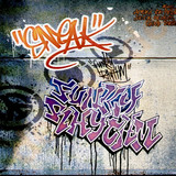 Dj Sneak - Funky Rhythm