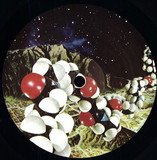 Various - Our Fucking Jungle