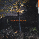Logos - Imperial Flood