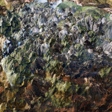 Genetisis - Genetisis