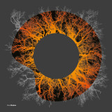 Dom & Roland - Gasoline / Sundown