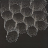 RITZI LEE - Negentropy [1/3] - Foundations