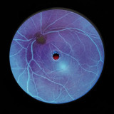 CH415 - Electronic Visions