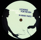 Pupkulies & Rebecca - Looking For The Sea In Remix Part 2
