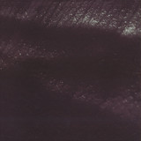 Jk Flesh - Posthuman