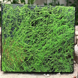 Various - Field of Progress