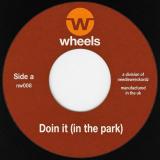Needlewreckordz - Doin It (In The Park) / Madness