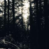 Allison Graves - I Still Look For The Mountains