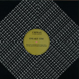 Sneaky Tim - *1* What's Your Function Pt. 1