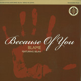 Blame Feat. Selah - Because Of You