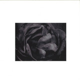 Cio D'or - All In All