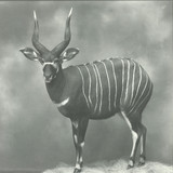 G.h: - Housebound Demigod