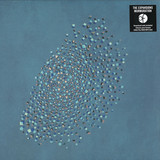 The Expansions - Murmuration