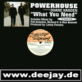 Powerhouse - What You Need 2x12"