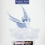Angel One - Everybody's Free