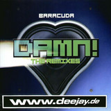 Baracuda - Damn *remix*